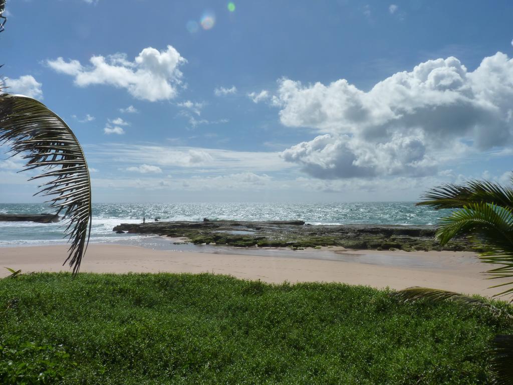 Alfazema Cultural Bed And Breakfast อาเร็งแบปิ ภายนอก รูปภาพ